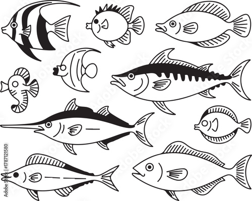 Collection of Ocean Fish