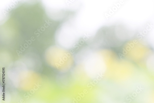 Green nature bokeh, Subtle background in abstract style for graphic design