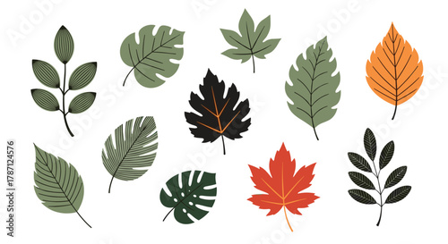 Adobe Illustrator Artwork