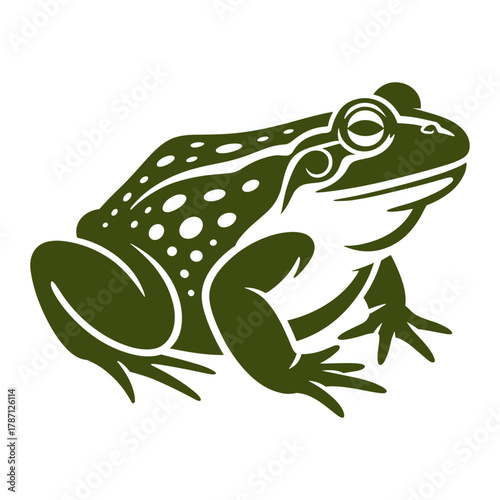 African Bullfrog