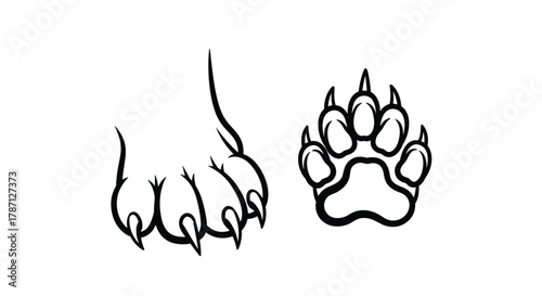 Adobe Illustrator Artwork