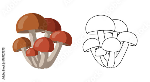 Two maple leaves presented in contrasting black and white line art styles