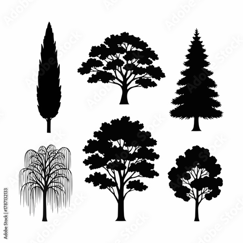 Silhouettes of various tree types in black and white illustration.