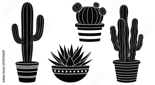 Cactus plants succulent potted black and white desert flora vector art