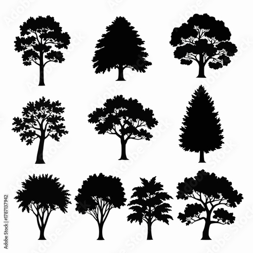 Diverse collection of tree silhouettes showcasing various species and forms.