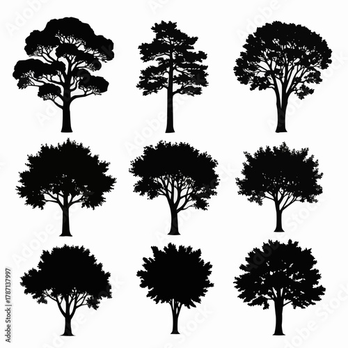 Silhouettes of Various Trees Depicting Different Foliage and Shapes.