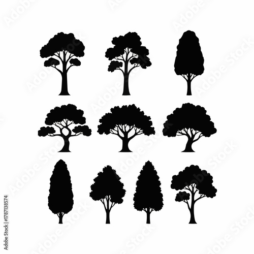 Silhouettes of various trees in black color for design elements.