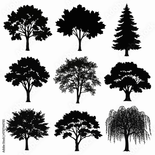 Collection of diverse tree silhouettes representing various species and forms.