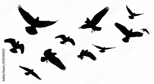 Silhouette Flock of Birds Flying in Open Sky.