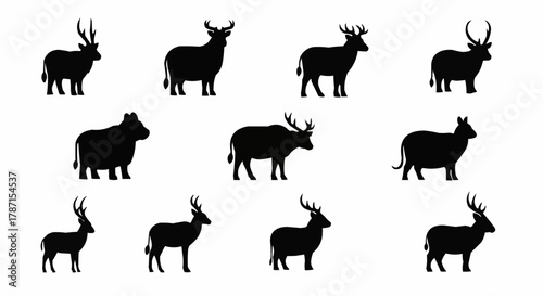Silhouettes of various deer species in a minimalist black and white style.