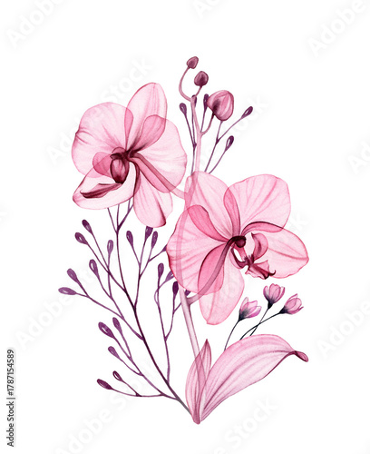 Watercolor orchid bouquet. Abstract transparent flowers, elegant branches and leaves in dusty pink and purple. Isolated hand drawn botanical illustration for wedding design, stationery card print
