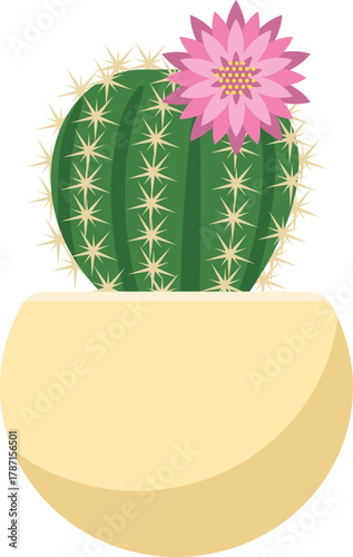 花が咲いているサボテンのイメージイラスト