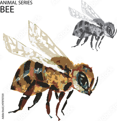 wasp or bee on white background