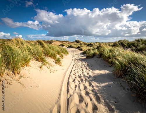 Fototapeta Naklejka Na Ścianę i Meble -  Sandy path leads through dunes to ocean under a partly cloudy sky
