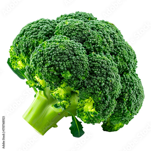 Fresh green broccoli isolated on transparent background