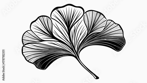 black and white abstract background