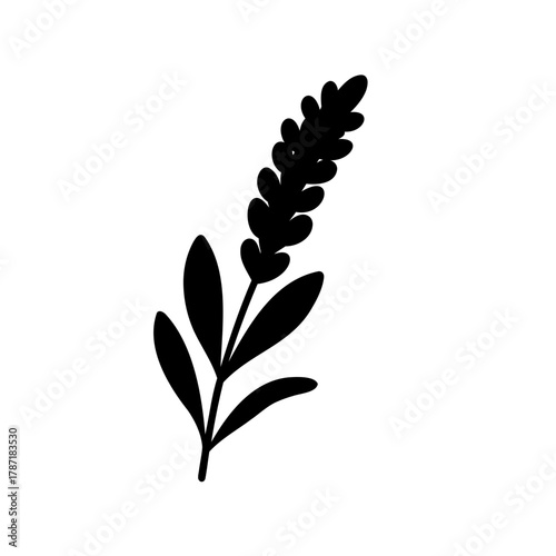 Stylized black silhouette of a delicate lavender bloom. Vector