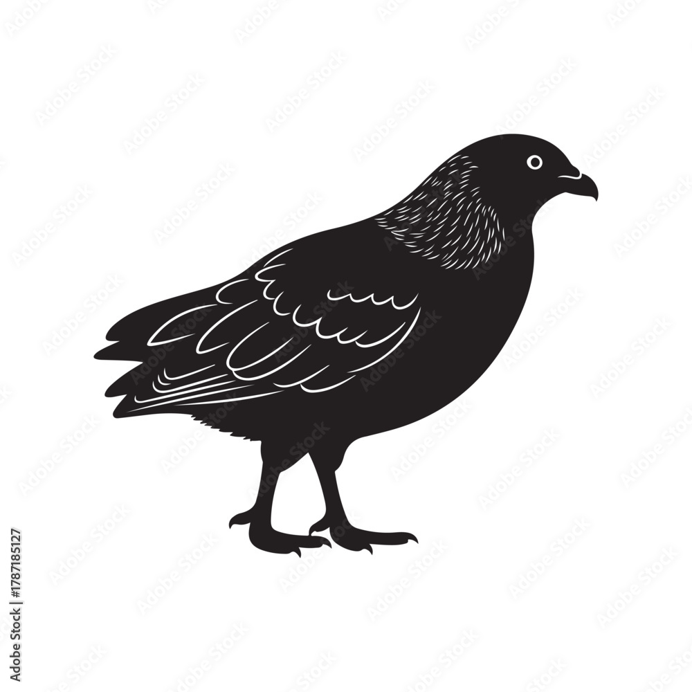 Fototapeta premium Stylized black bird silhouette illustration, isolated on white