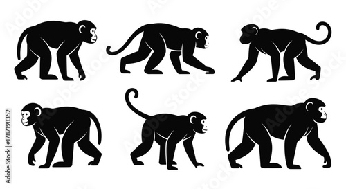 Cute monkey silhouettes ideal for jungle themed designs or animal logos