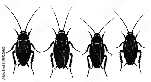 Pest control design featuring black cockroach silhouettes on white