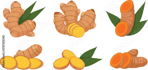 Ginger and turmeric icons, sliced root vector, herbal illustration, spice silhouette, medicinal plant design, minimal black drawing, healthy ingredient