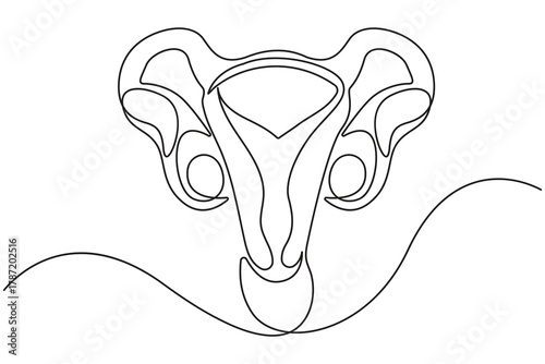 Uterus continuous one line drawing minimalist female reproductive system illustration