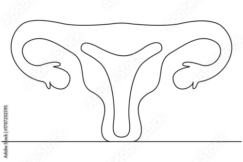 Simple one line uterus drawing medical anatomy outline art design