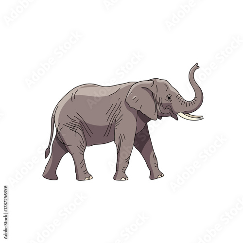 An African elephant with its trunk raised