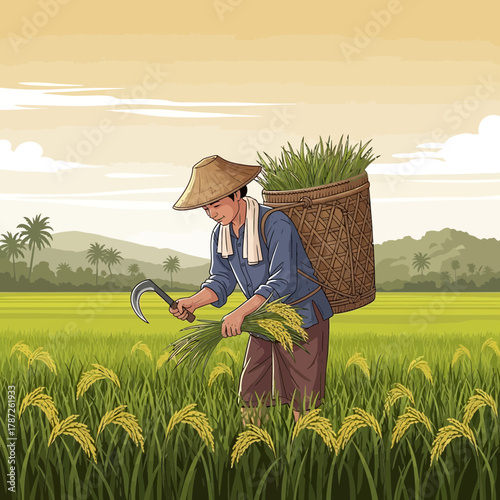 Farmer harvesting rice in a lush green field carrying a basket