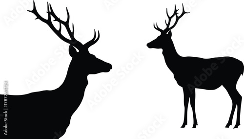 Deer silhouette illustration, antlered wildlife vector, majestic stag profile, forest animal art, black silhouette, nature design, hunting theme, printable