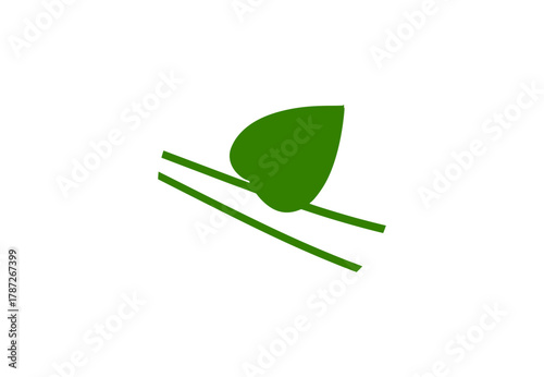 green leaf on white background