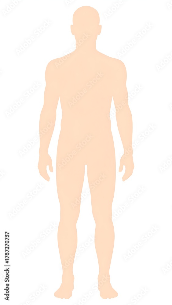 Fototapeta premium Full Body Silhouette of a Person Standing Straight.