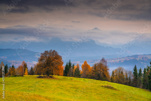Fototapeta Naklejka Na Ścianę i Meble -  Spring landscape from Litwinka view point, Poland
