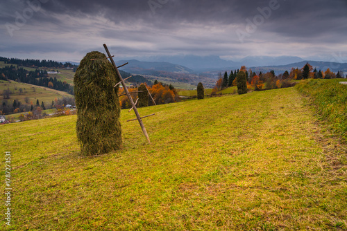 Fototapeta Naklejka Na Ścianę i Meble -  autumn landscape in the mountains
