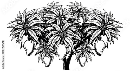 palm tree silhouette