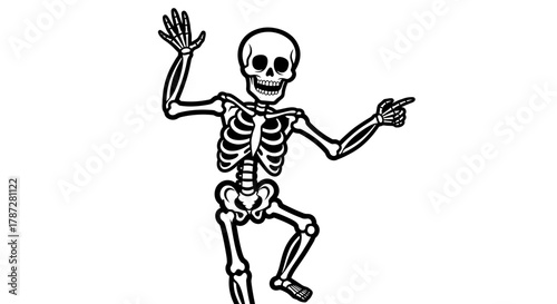 skeleton of the person