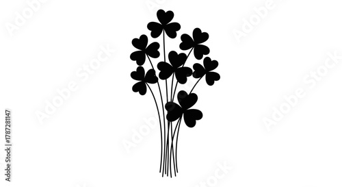 black and white flowers