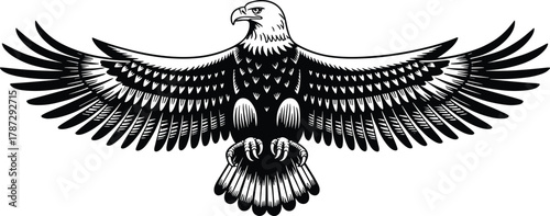 Powerful black and white eagle illustration with open wings, flying bird of prey vector art symbolizing strength, freedom, and courage