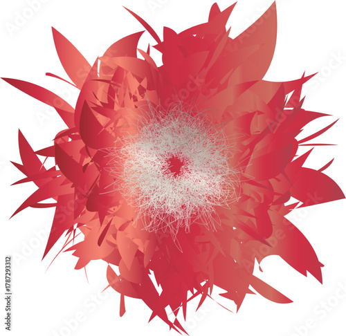 red flower isolated on white