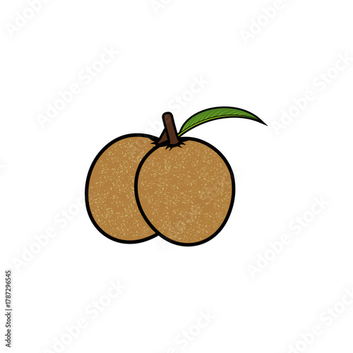 two sapodilla fruits and a leaf vector illustration