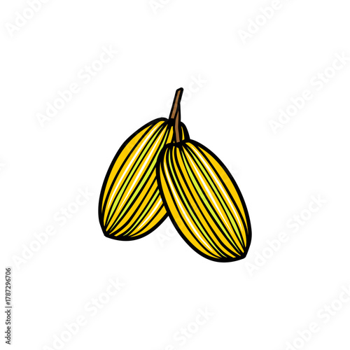 yellow star fruit vector illustration
