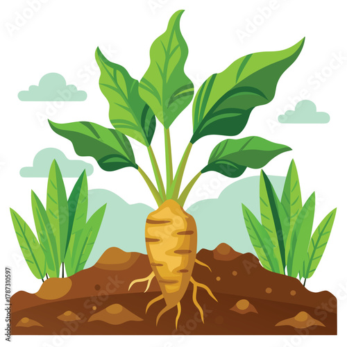 Vector illustration of a ginger plant with leaves growing in a pot, isolated on white, symbolizing life and nature