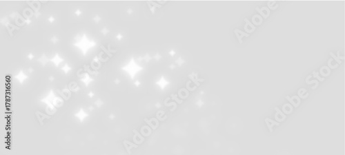 Title	
Snow snowfall snowflakes winter overlay transparent falling background .PNG heavy snowfall overlay with falling snowflakes on dark transparent background snow flakes falling	