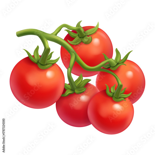 Vector branch with whole fresh ripe tomatoes on white background