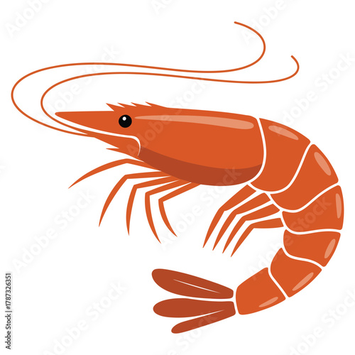 shrimp on a white background