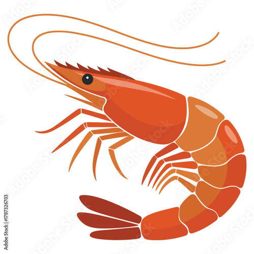 cooked shrimp on white background