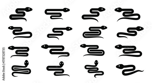 Collection of snake vector illustrations black and white background