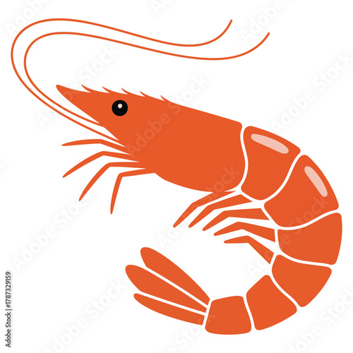 shrimp on white background