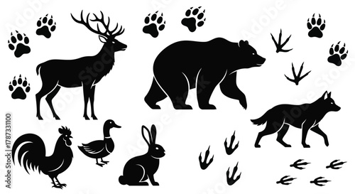 Vector illustration of wildlife animals including deer bear and wolf
