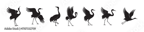 Crane bird silhouettes collection, elegant heron poses, flying and standing birds, wildlife illustration, nature animal design, graceful bird vector art, black silhouette